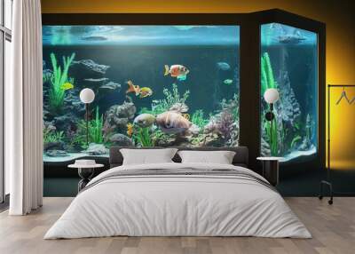 aquarium with fish, different types of fish, beauty Wall mural