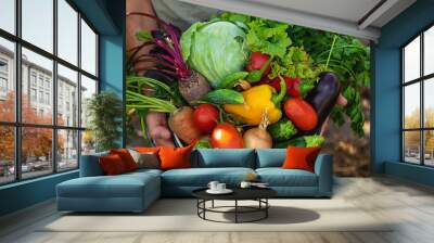 A man farmer is harvesting vegetables in the garden. selective focus. Wall mural