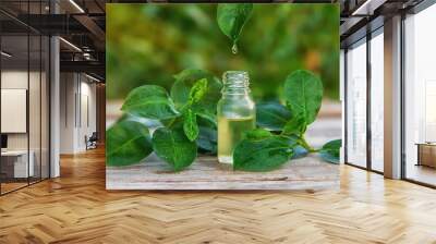 Bottled tea tree essential oil. Selective focus. Wall mural