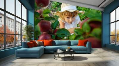 Child with apples in the garden. selective focus. Wall mural