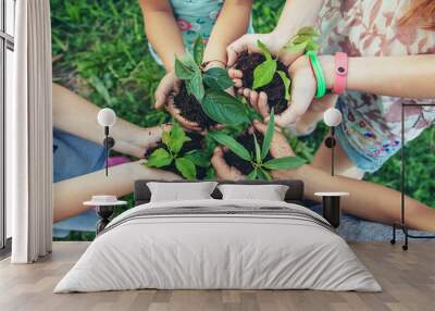 children plant plants together in their hands. Selective focus. Wall mural