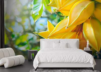 Harvest carambola in the garden. selective focus. Wall mural