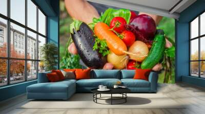 homemade vegetables in the hands of men. harvest. selective focus. Wall mural