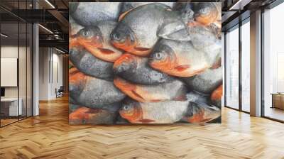 Many fresh pomfret fish are arranged on the trays of fish sellers in traditional roadside markets. Wall mural