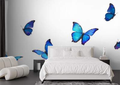 blue flying butterfly png suitable Wall mural