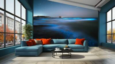 Scenic bioluminescent beach at night Wall mural