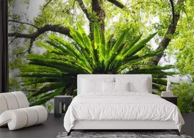 green tree Wall mural