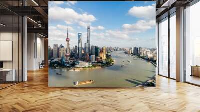 Shanghai city skyline  Wall mural