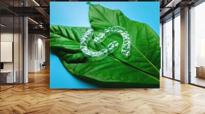 Invisible plastic braces three pieces lie on a green succulent leaf from a flower on a blue background, studio shot top view Wall mural