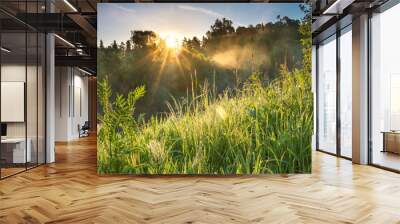 green grass in spring meadow Wall mural