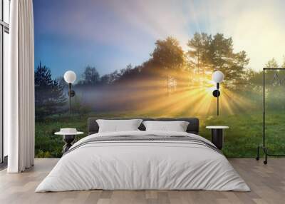 panorama landscape with sun and forest and meadow at sunrise Wall mural