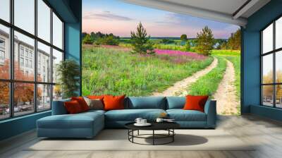 spring amazing landscape with a blossoming meadow, road and farm Wall mural