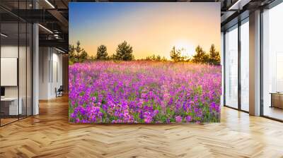 spring landscape with  flowering purple flowers on meadow Wall mural