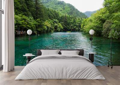 Peacock lake, one of the largest lake in Jiuzhaigou national park. Shape of lake, when view from above, will look like a peacock. Wall mural