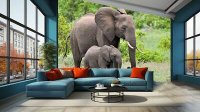 elephant Wall mural