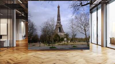 A  view on the Eiffel Tower during the 20th campaing of painting and stripping. Wall mural