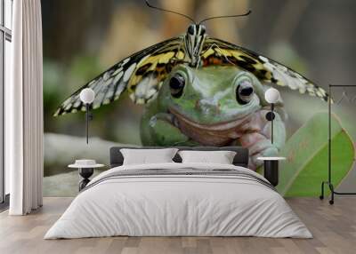 Friendships - Butterfly on frog Wall mural