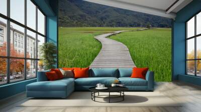 wood walk way bridge in rice field Wall mural