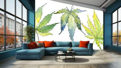 Green cannabis leaf. Leaf plant botanical garden floral foliage. Isolated illustration element. Aquarelle leaf for background, texture, wrapper pattern, frame or border. Wall mural