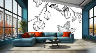 Vector. Black and white engraved ink art. Isolated gooseberry il Wall mural