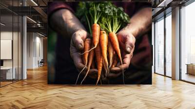 Closeup of Pair of Hands Holding A Bunch of Fresh Carrots from the Garden Wall mural