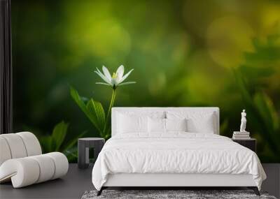 Close-up of a Single White Flower Blooming in a Lush Green Garden with Soft Focus Background and Natural Sunlight Wall mural