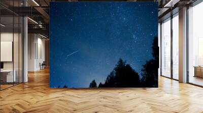 Perseid Meteor Shower in 2016 Wall mural