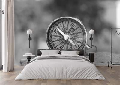 Classic navigation compass on natural background Wall mural