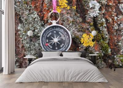 Old compass. Navigation compass. Classic compass. Traditional compass on wood background. Wall mural