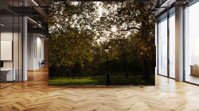 A British park in yellow leaves Wall mural