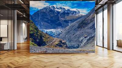 Fox Glacier Valley, New Zealand Wall mural