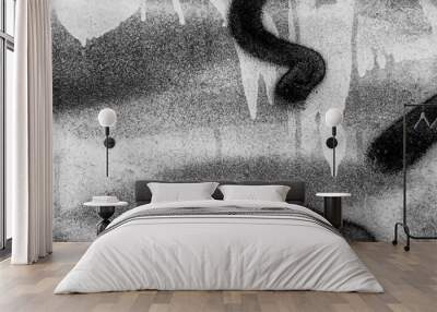  Beautiful black and white street art graffiti background. The wall is decorated with abstract drawings house paint. Modern style urban culture of street youth. Abstract picture on wall Wall mural