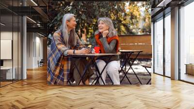 Mature Asian lady with positive grey haired friend spend time together sitting at small table in street cafe on nice autumn day Wall mural