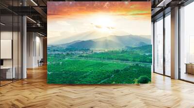 green beautiful valley with gardens and plantations and amazing mountains on background during sunset or sunrise Wall mural