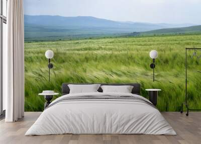 green wheat field Wall mural