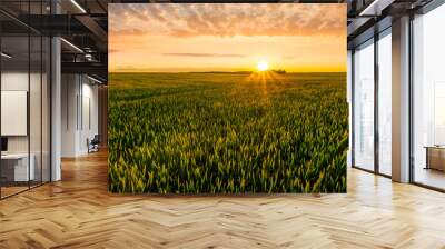 Scenic view at beautiful summer sunset in a wheaten shiny field with golden wheat and sun rays, deep blue cloudy sky and road, rows leading far away, valley landscape Wall mural