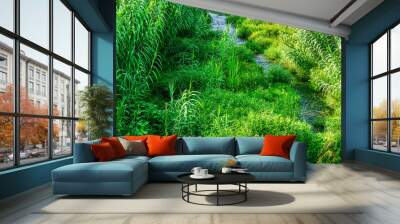 small beautiful river stream among green grass reeds with sun rays and streamin creek water Wall mural