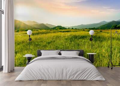 summer of spring landscape of green grass meadow with great beautiful mountains and awersome golden cloudy sunset Wall mural