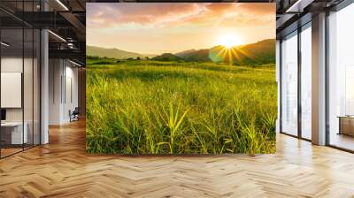 summer of spring landscape of green grass meadow with great beautiful mountains and awersome golden cloudy sunset Wall mural