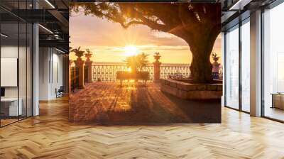 sunrise or sunset scenic view on a beautiful square with pavement, two beautiful green trees and amazing sky Wall mural