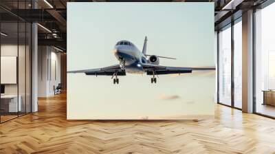 Close-up of a private plane against a beautiful gentle sky with clouds at sunset Wall mural