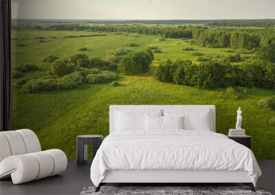 Drone view of a beautiful landscape of a green field with trees on a sunny summer day Wall mural