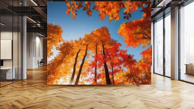 vibrant autumn leaves framed crystal clear sky highlighting warm hues gold natural centerpiece elements, orange, red, nature, foliage, tree, background Wall mural