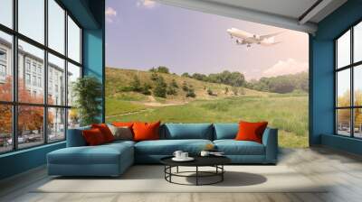 Airliner over green Plants. Sunset in the evening. Wall mural