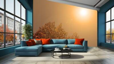 Fabulous orange evening sunset over the foliage of a tree. Wall mural