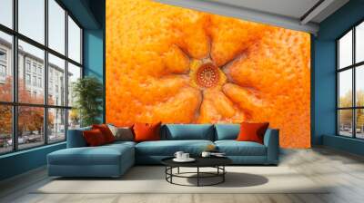 concept of hemorrhoids with a demonstration on citrus Wall mural