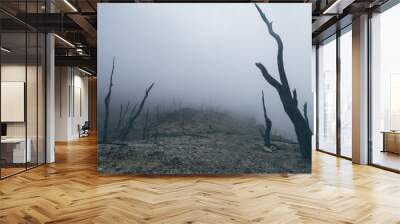 landscape, volcano, forest, dead, mysterious, nature. Indonesia, Java, volcano Wall mural