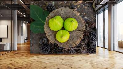 Green figs fruits riping on fig tree close up Wall mural