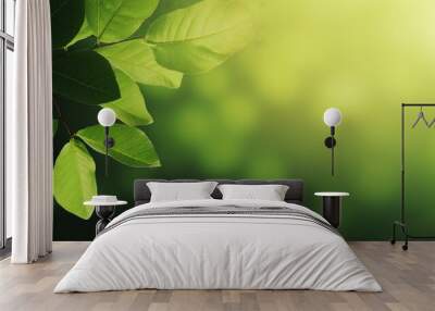 ayurvedic leaf branch background, bokeh, blurr Wall mural