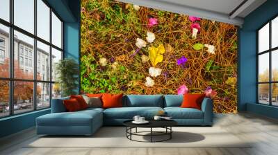 Bright petals and leaves of flowers on dry grass texture Wall mural